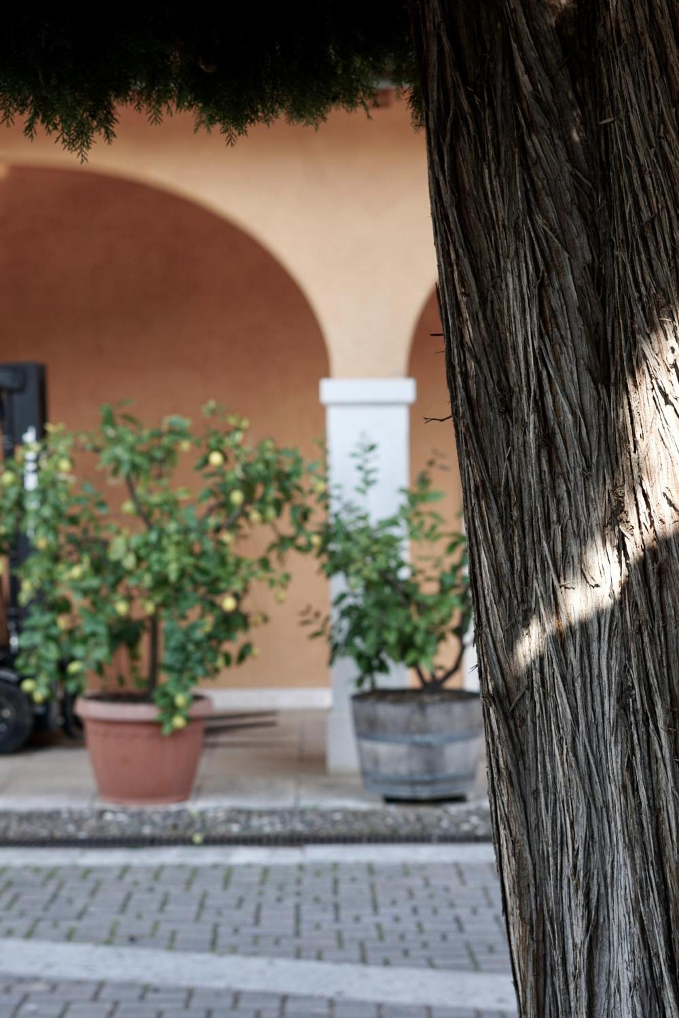 Agriturismo Valentina Cubi Fumane Exterior foto